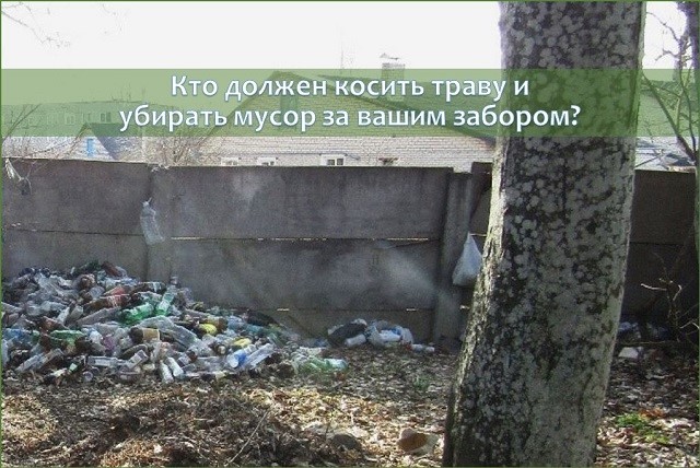risunok